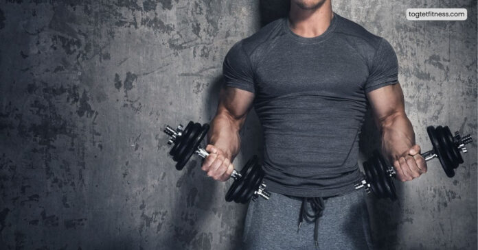 Guide to dumbbell workouts for biceps